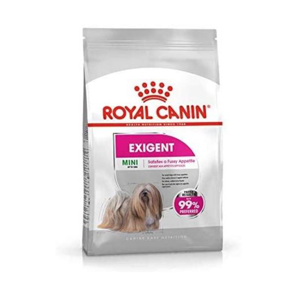 Royal Canin Exigent Mini 1kg - Crocchette per Cani