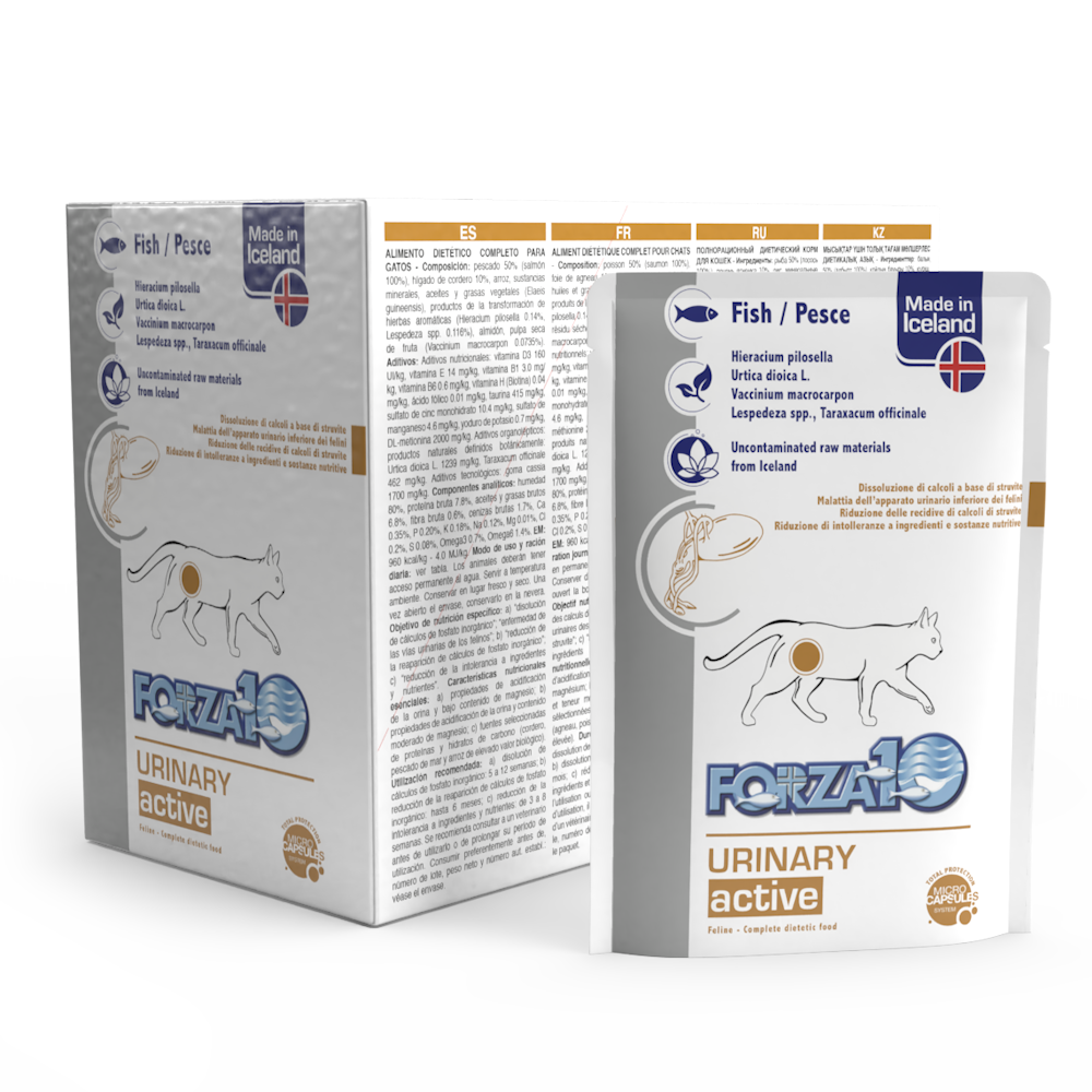 Forza10 Gatto Urinary al Pesce - 12x100gr