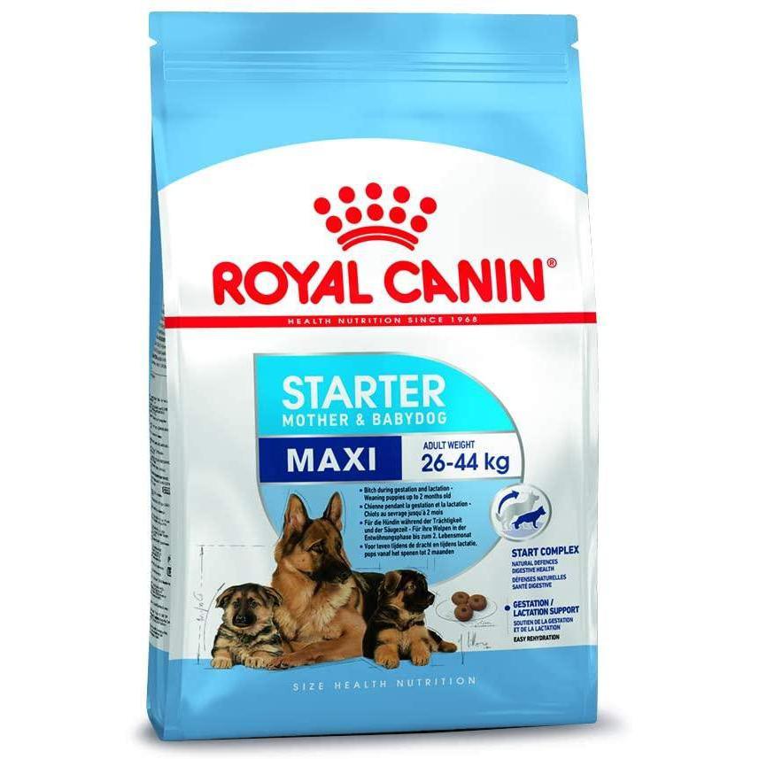 Royal Canin Maxi Starter 15kg