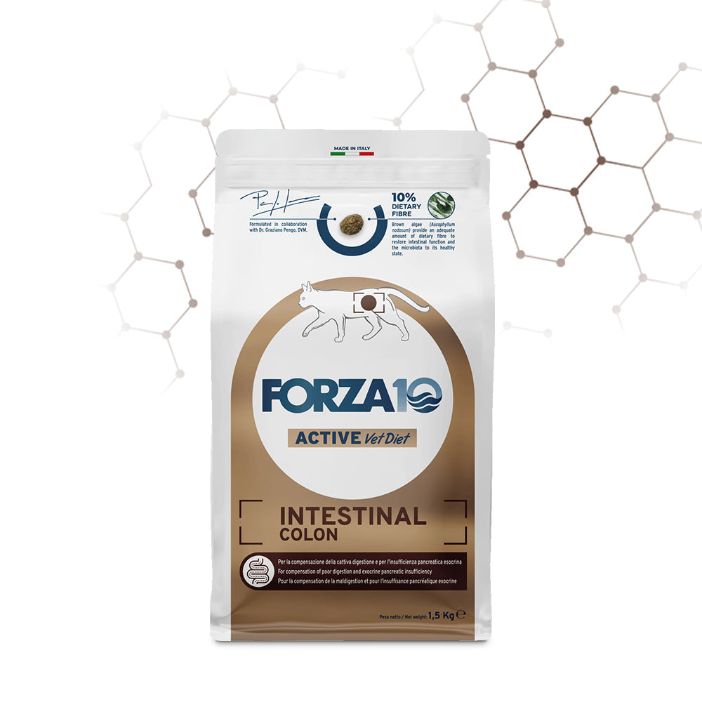 Forza10 Intestinal Colon 2kg - Crocchette per Gatti