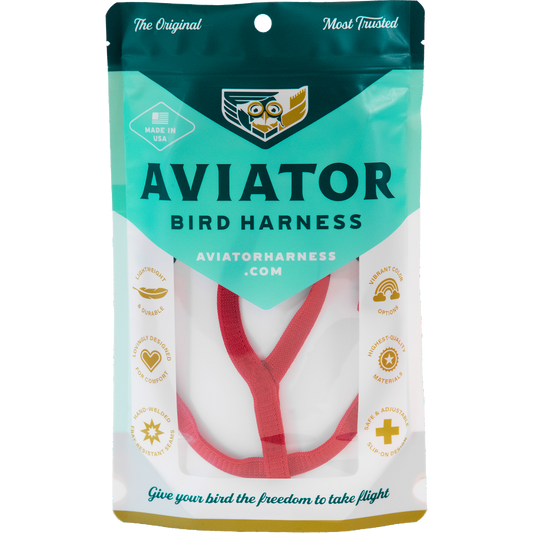 Aviator - Pettorina per Pappagalli - Petite - Rosso