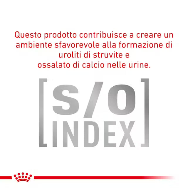Alimento umido Royal Canin Diabetic Special Low Carbohydrate 410 g per cani adulti diabetici