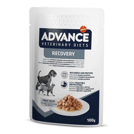 Advance Veterinary Diets Cane/Gatto Recovery 100gr