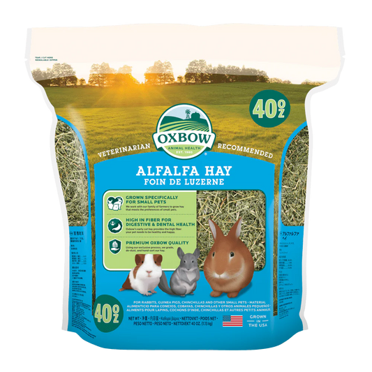 Oxbow Fieno di Erba Medica Alfalfa Hay 1,136 Kg Per Conigli Cavie e Chinchillà